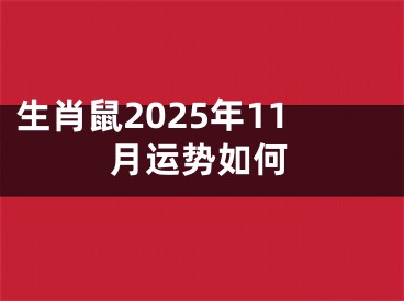 生肖鼠2025年11月运势如何