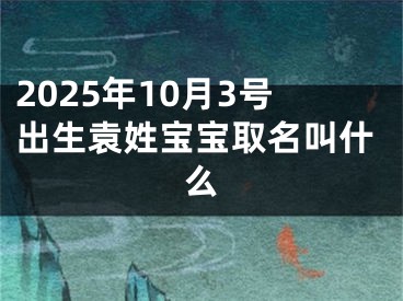 2025年10月3号出生袁姓宝宝取名叫什么