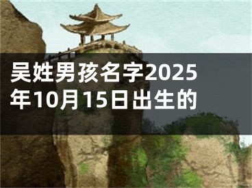 吴姓男孩名字2025年10月15日出生的