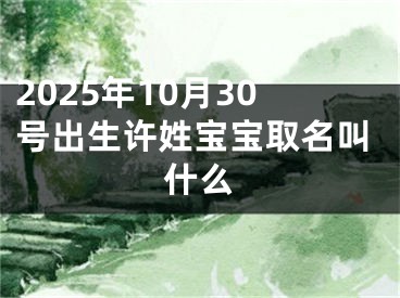 2025年10月30号出生许姓宝宝取名叫什么