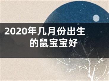 2020年几月份出生的鼠宝宝好