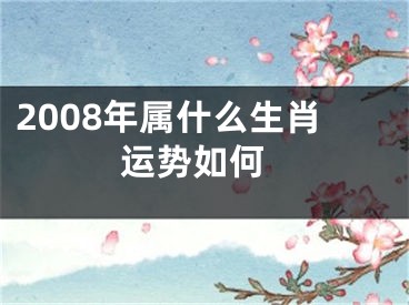2008年属什么生肖 运势如何
