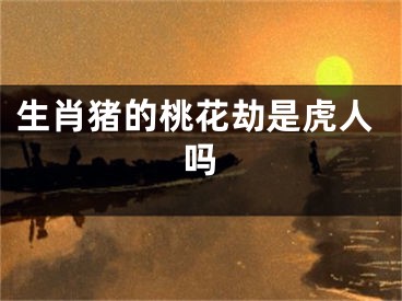 生肖猪的桃花劫是虎人吗