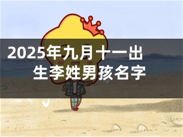2025年九月十一出生李姓男孩名字