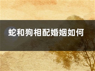蛇和狗相配婚姻如何