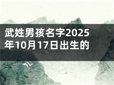 武姓男孩名字2025年10月17日出生的