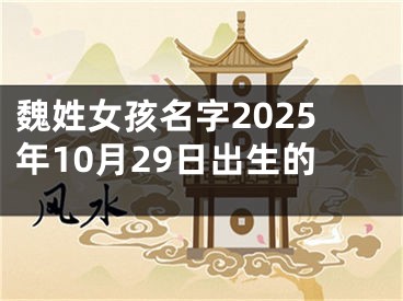 魏姓女孩名字2025年10月29日出生的