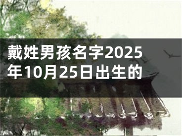戴姓男孩名字2025年10月25日出生的
