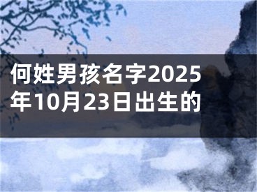 何姓男孩名字2025年10月23日出生的