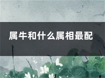 属牛和什么属相最配