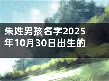 朱姓男孩名字2025年10月30日出生的