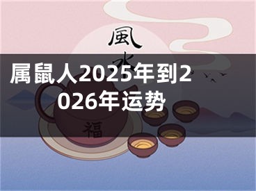 属鼠人2025年到2026年运势