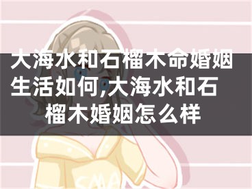 大海水和石榴木命婚姻生活如何,大海水和石榴木婚姻怎么样