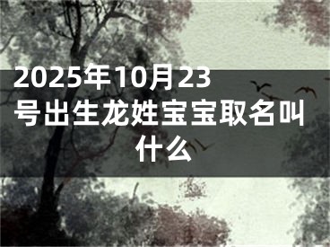 2025年10月23号出生龙姓宝宝取名叫什么