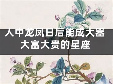 人中龙凤日后能成大器大富大贵的星座