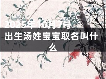 2025年10月7号出生汤姓宝宝取名叫什么