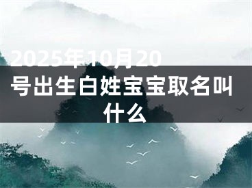 2025年10月20号出生白姓宝宝取名叫什么