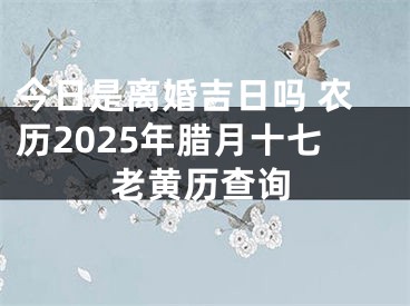 今日是离婚吉日吗 农历2025年腊月十七老黄历查询