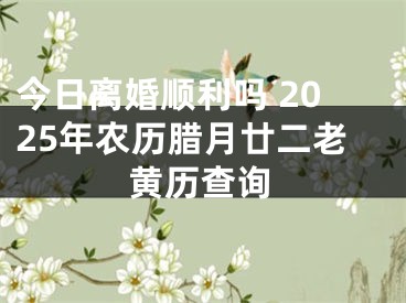 今日离婚顺利吗 2025年农历腊月廿二老黄历查询