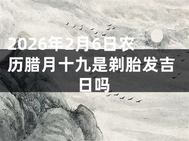 2026年2月6日农历腊月十九是剃胎发吉日吗