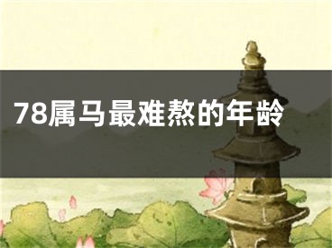 78属马最难熬的年龄