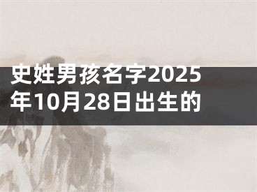 史姓男孩名字2025年10月28日出生的