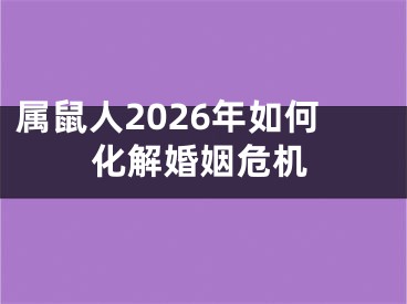 属鼠人2026年如何化解婚姻危机
