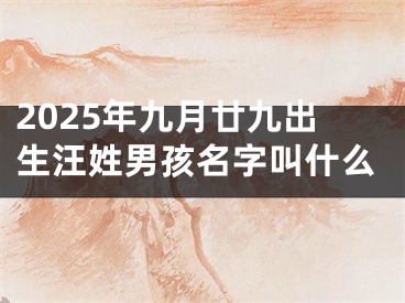 2025年九月廿九出生汪姓男孩名字叫什么
