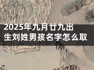 2025年九月廿九出生刘姓男孩名字怎么取