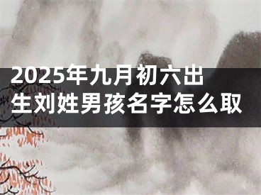 2025年九月初六出生刘姓男孩名字怎么取