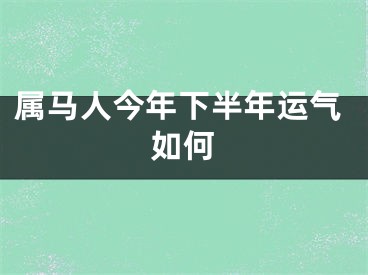 属马人今年下半年运气如何