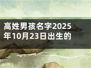 高姓男孩名字2025年10月23日出生的