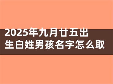 2025年九月廿五出生白姓男孩名字怎么取