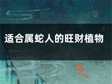 适合属蛇人的旺财植物