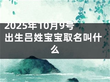 2025年10月9号出生吕姓宝宝取名叫什么