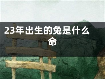 23年出生的兔是什么命