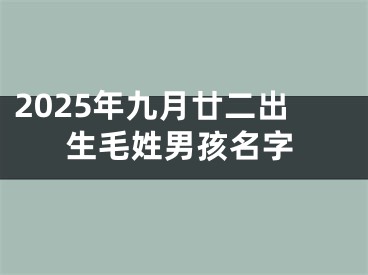 2025年九月廿二出生毛姓男孩名字