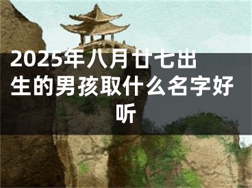2025年八月廿七出生的男孩取什么名字好听
