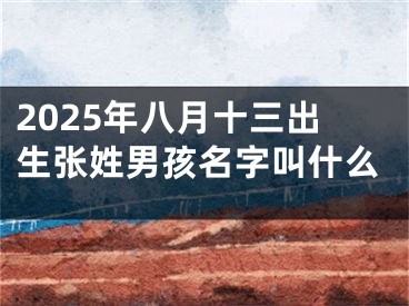 2025年八月十三出生张姓男孩名字叫什么
