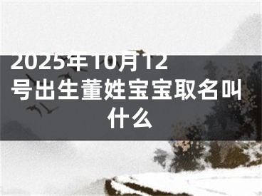 2025年10月12号出生董姓宝宝取名叫什么