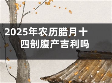2025年农历腊月十四剖腹产吉利吗