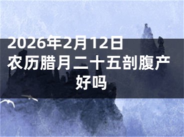 2026年2月12日农历腊月二十五剖腹产好吗
