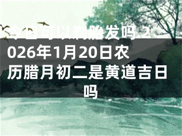 今日可以剃胎发吗 2026年1月20日农历腊月初二是黄道吉日吗
