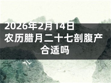 2026年2月14日农历腊月二十七剖腹产合适吗