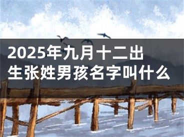 2025年九月十二出生张姓男孩名字叫什么