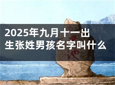 2025年九月十一出生张姓男孩名字叫什么