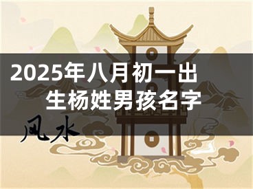 2025年八月初一出生杨姓男孩名字