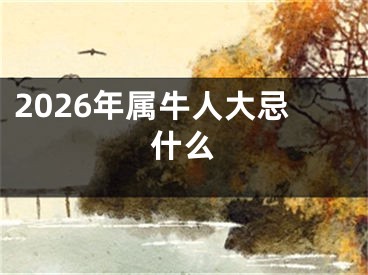 2026年属牛人大忌什么