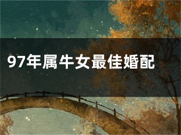 97年属牛女最佳婚配