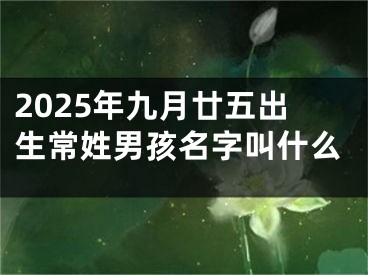 2025年九月廿五出生常姓男孩名字叫什么
